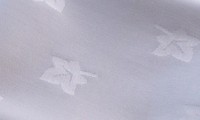 Polyester  Ivyleaf Square Tablecloth
